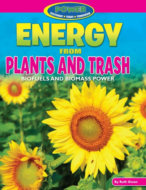 Cover image for book Energy from Plants and Trash