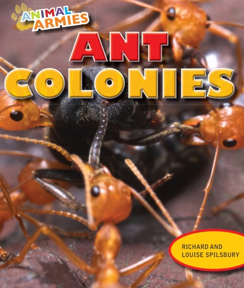 Cover image for book Ant Colonies