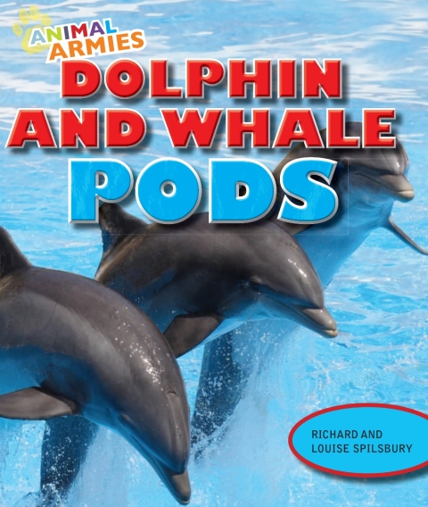Cover image for book Dolphin and Whale Pods