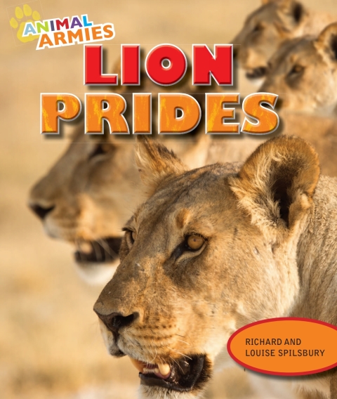 Cover image for book Lion Prides