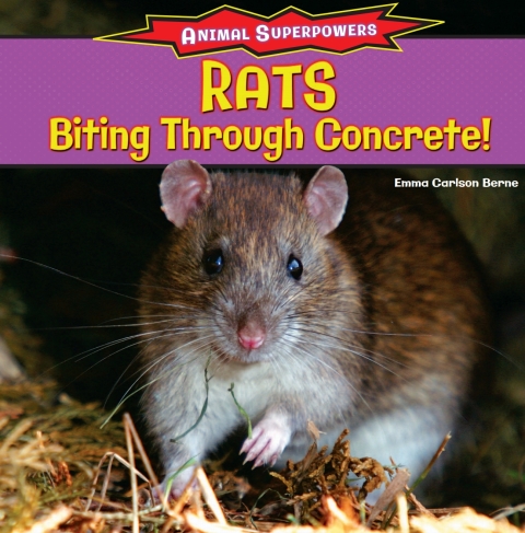 Cover image for book Rats