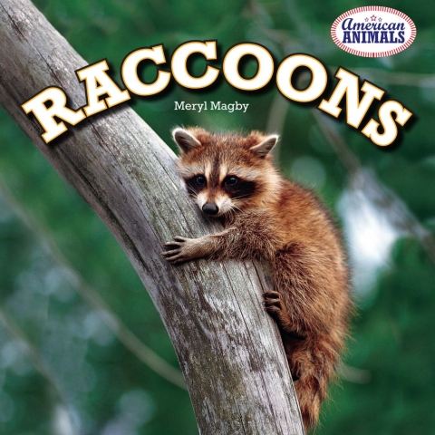 Cover image for book Raccoons