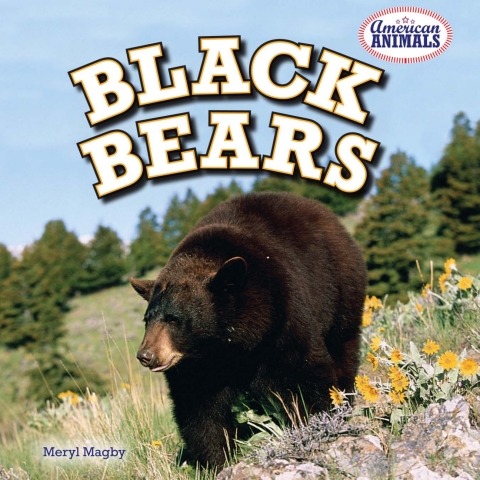 Cover image for book Black Bears