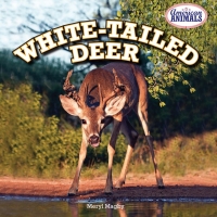 Cover image: White-Tailed Deer 9781477707920