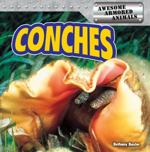 Cover image for book Conches