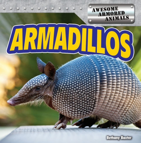 Cover image for book Armadillos
