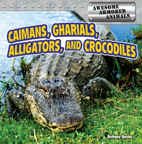 Cover image for book Caimans, Gharials, Alligators, and Crocodiles
