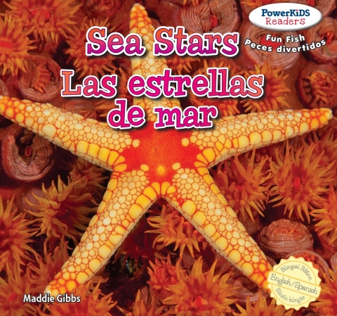 Cover image for book Sea Stars / Las estrellas de mar