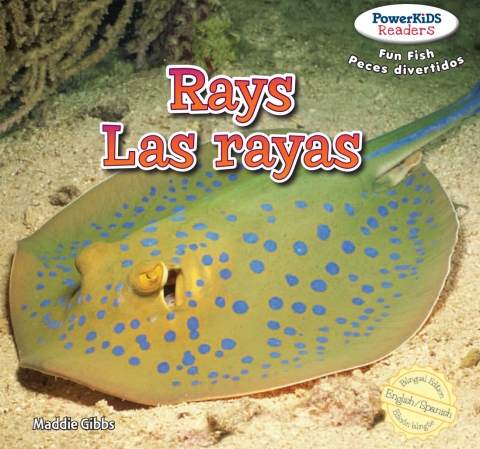 Cover image for book Rays / Las rayas