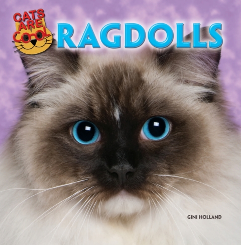 Cover image for book Ragdolls