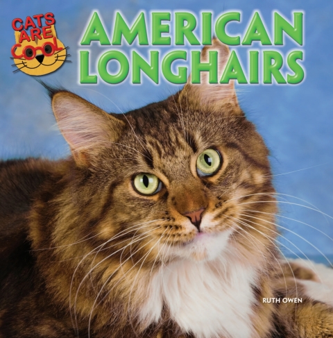 Cover image for book American Longhairs