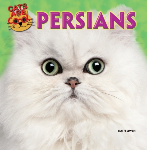 Cover image for book Persians
