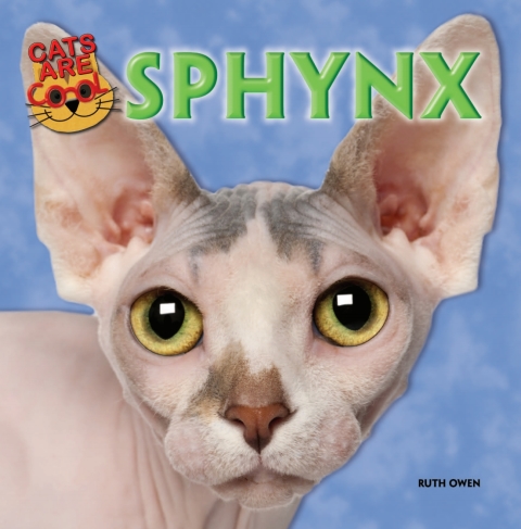 Cover image for book Sphynx