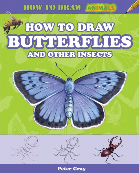 Cover image for book How to Draw Butterflies and Other Insects