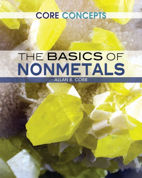 Cover image for book The Basics of Nonmetals