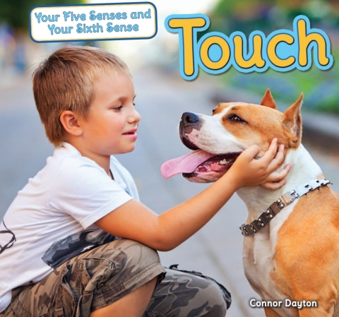 Cover image for book Touch