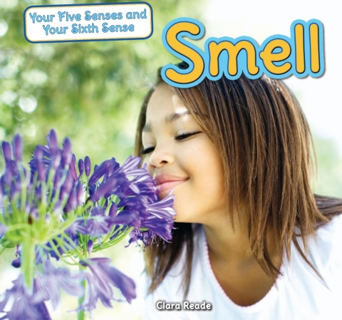 Cover image for book Smell
