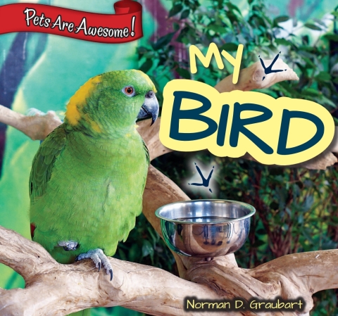 Cover image for book My Bird