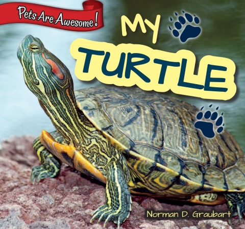 Cover image for book My Turtle
