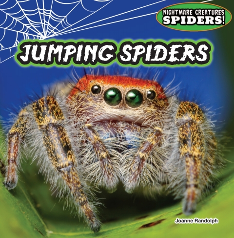 Cover image for book Jumping Spiders: