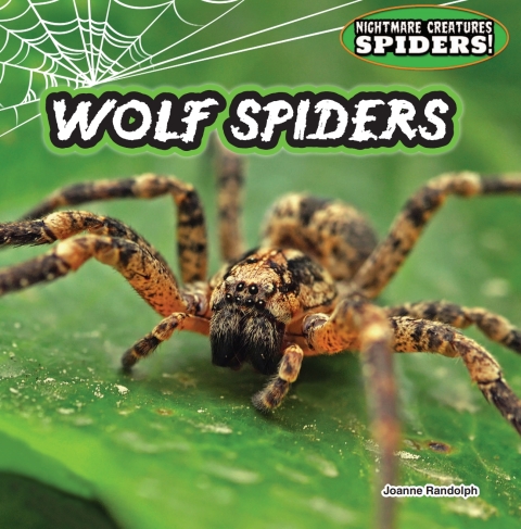 Cover image for book Wolf Spiders: