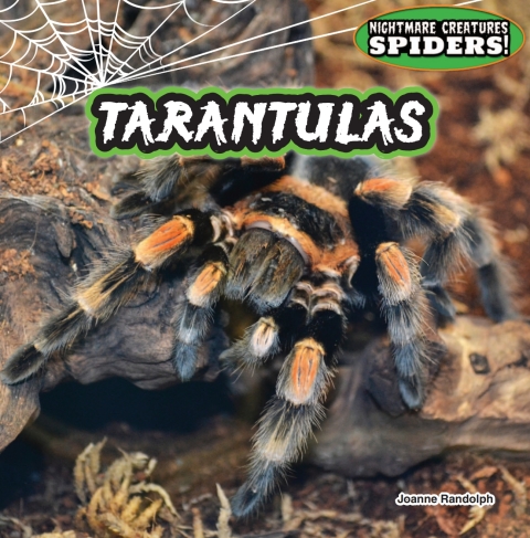 Cover image for book Tarantulas: