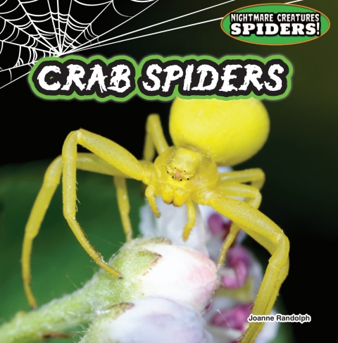 Cover image for book Crab Spiders: