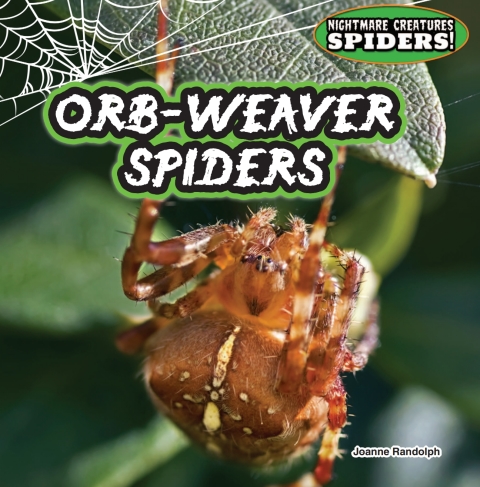 Cover image for book Orb-Weaver Spiders: