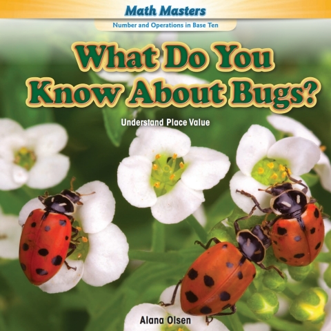 Cover image for book What Do You Know About Bugs?