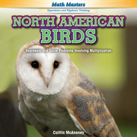 Cover image for book North American Birds