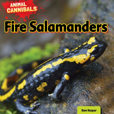 Cover image for book Fire Salamanders
