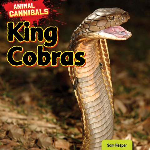 Cover image for book King Cobras