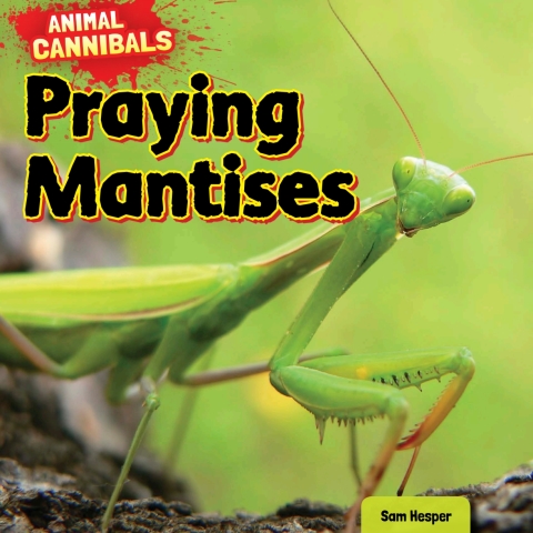 Cover image for book Praying Mantises