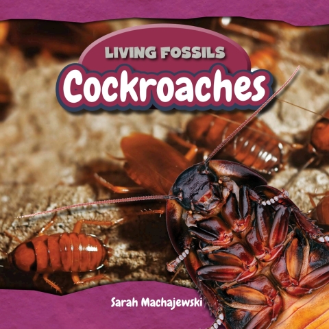 Cover image for book Cockroaches