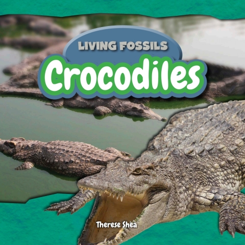 Cover image for book Crocodiles