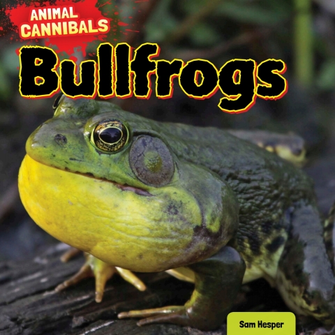 Cover image for book Bullfrogs