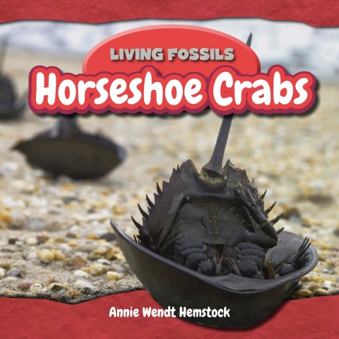 Cover image for book Horseshoe Crabs