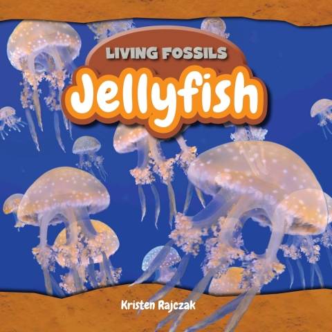 Cover image for book Jellyfish