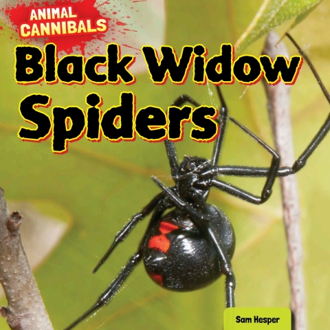 Cover image for book Black Widow Spiders