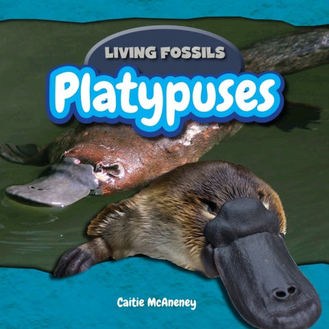 Cover image for book Platypuses