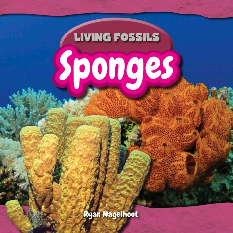 Cover image for book Sponges