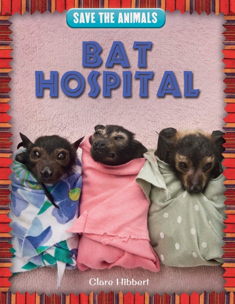 Cover image for book Bat Hospital