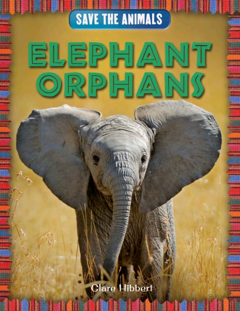Cover image for book Elephant Orphans