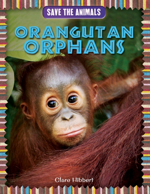 Cover image for book Orangutan Orphans