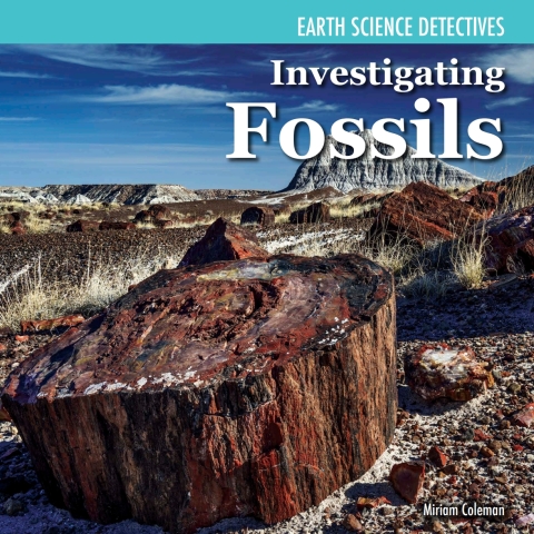Cover image for book Investigating Fossils