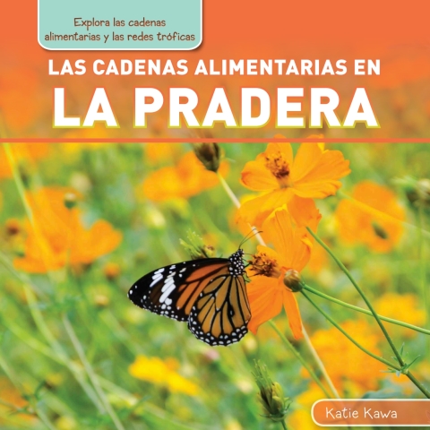 Cover image for book Las cadenas alimentarias en la pradera (Meadow Food Chains)