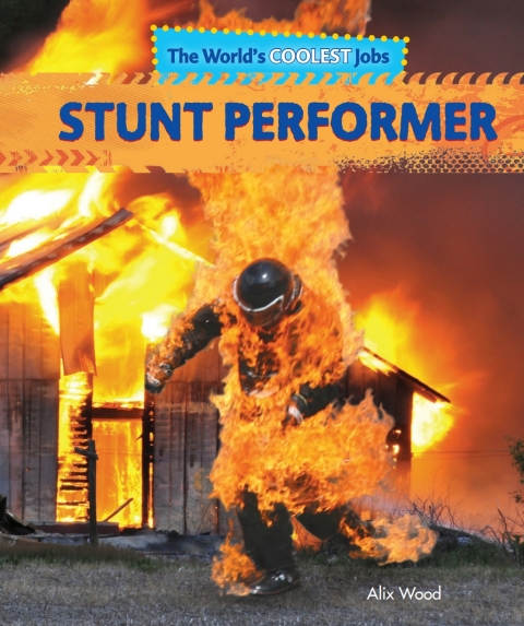 Cover image for book Stunt Performer