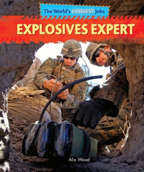 Cover image for book Explosives Expert