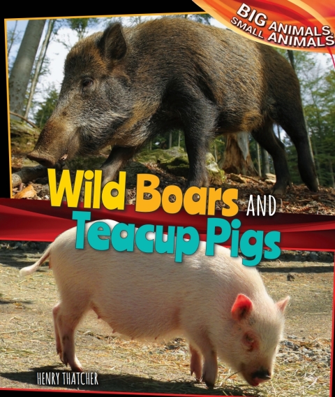 Cover image for book Wild Boars and Teacup Pigs