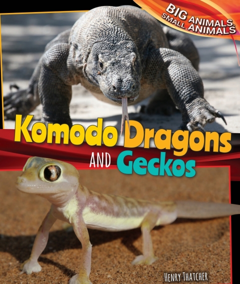 Cover image for book Komodo Dragons and Geckos